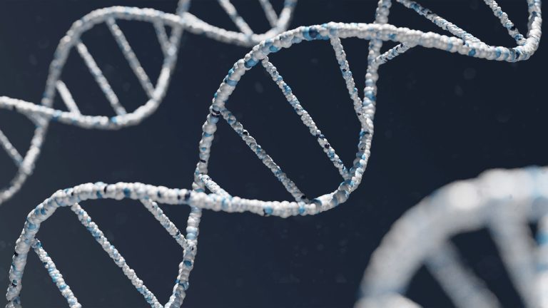 bioinformatica curso